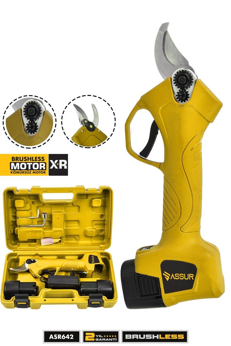 Assur 16.8V Çift Akülü Odun Dal Kesme Makinası Şarjlı Budama Makası
            
            
                (ASR642-02-23)