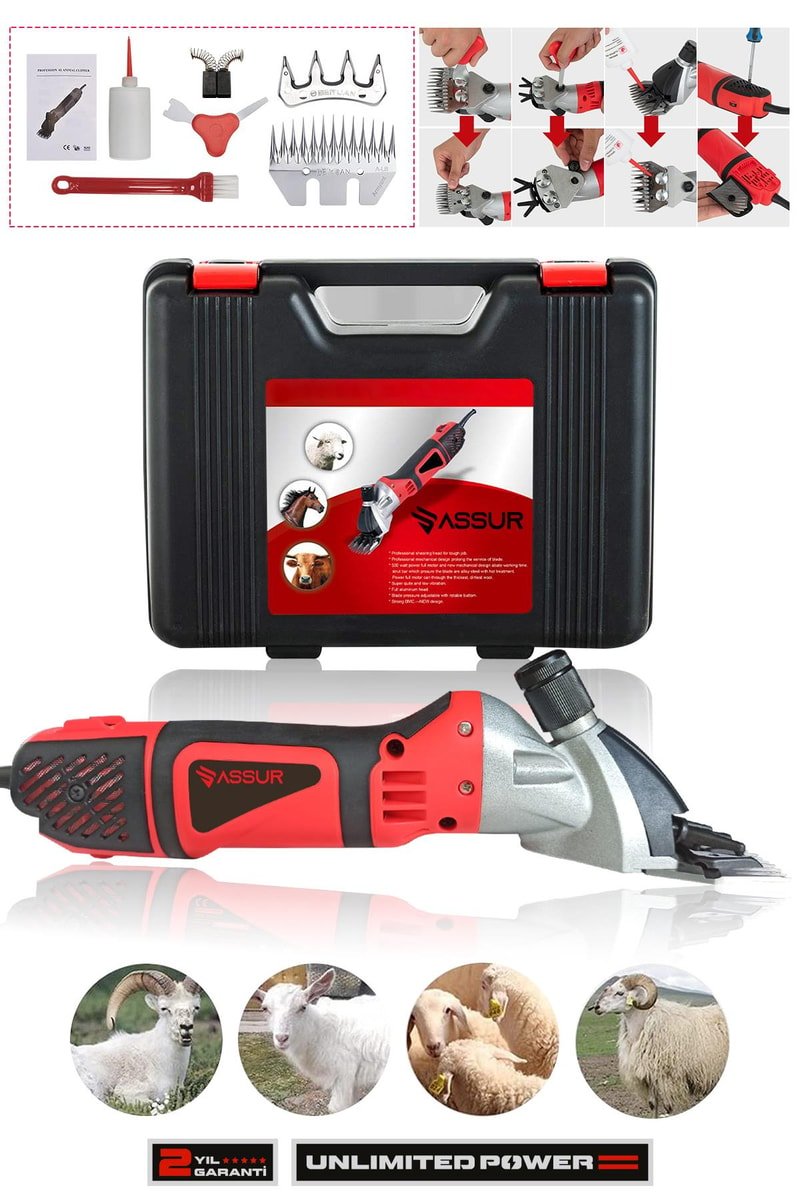 Assur 500W 6 Kademe Ayarlı Metal Şanzıman Koyun Kırkma Makinası
            
            
                (ASR609-02-30)