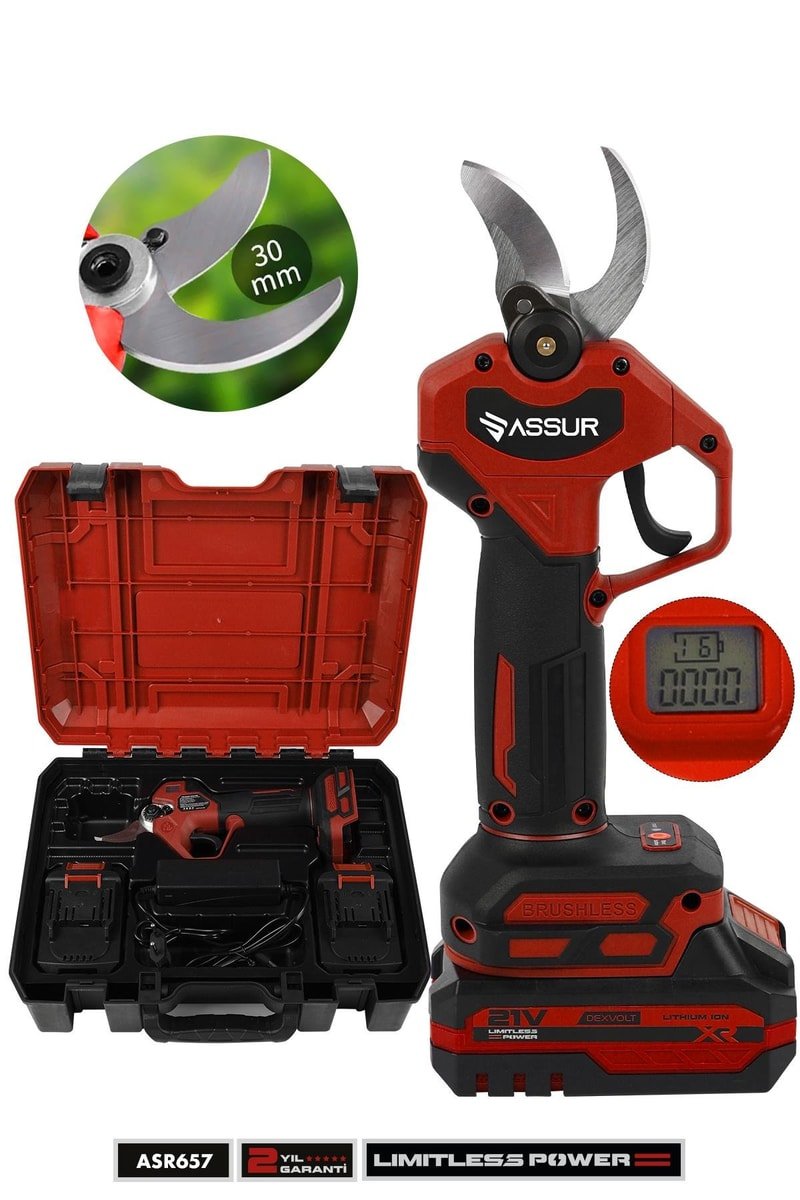Assur Profesyonel 21V Çift Akülü Ağaç Odun Dal Kesme Makinası Şarjlı Dijital Budama Makası
            
            
                (ASR657-23)