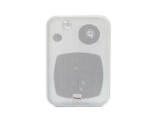 WESTA WM-305TW WESTA İKİ YOLLU100 W HOPARLÖR